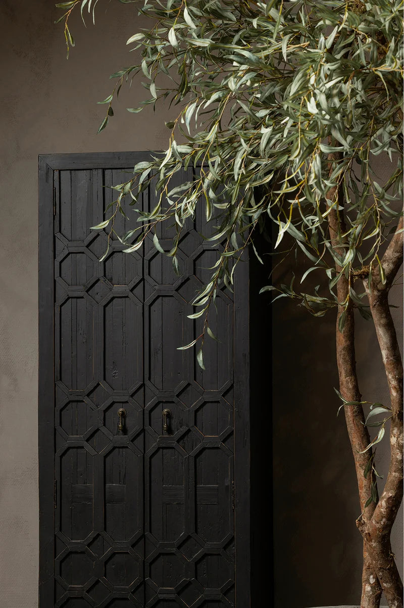Bella Tall Cabinet with Indoor Plant